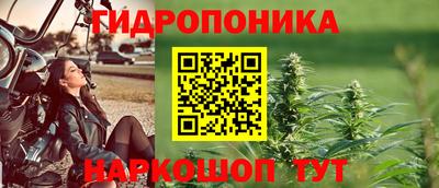 трава Ачхой-Мартан