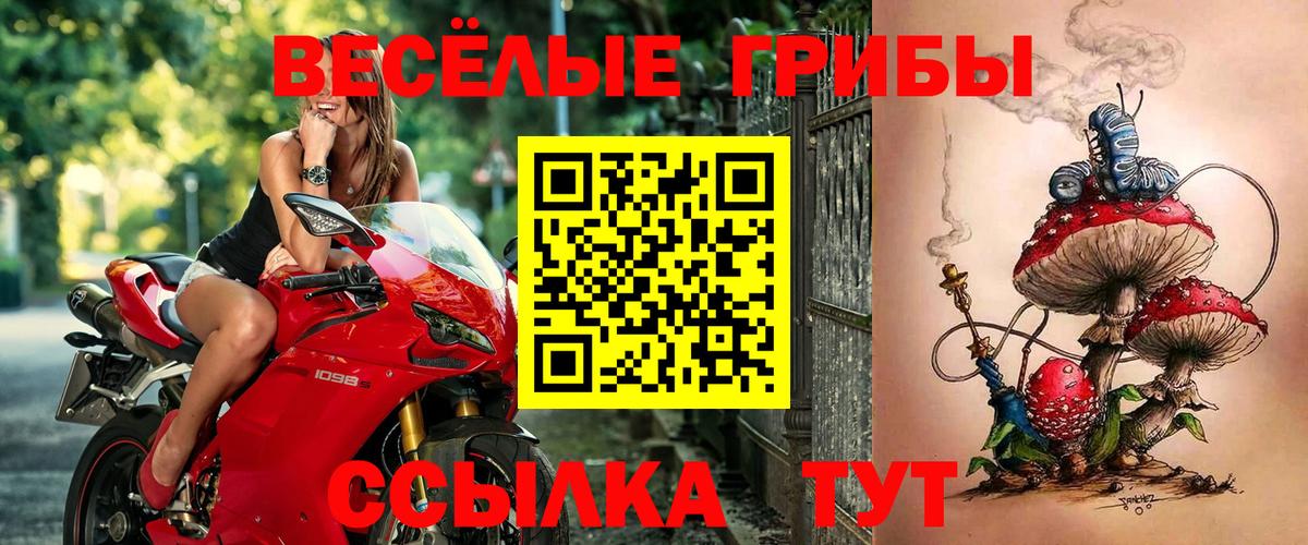 Белогорск  Галлюциногенные грибы MAGIC MUSHROOMS  купить закладку  Вход с VPN 